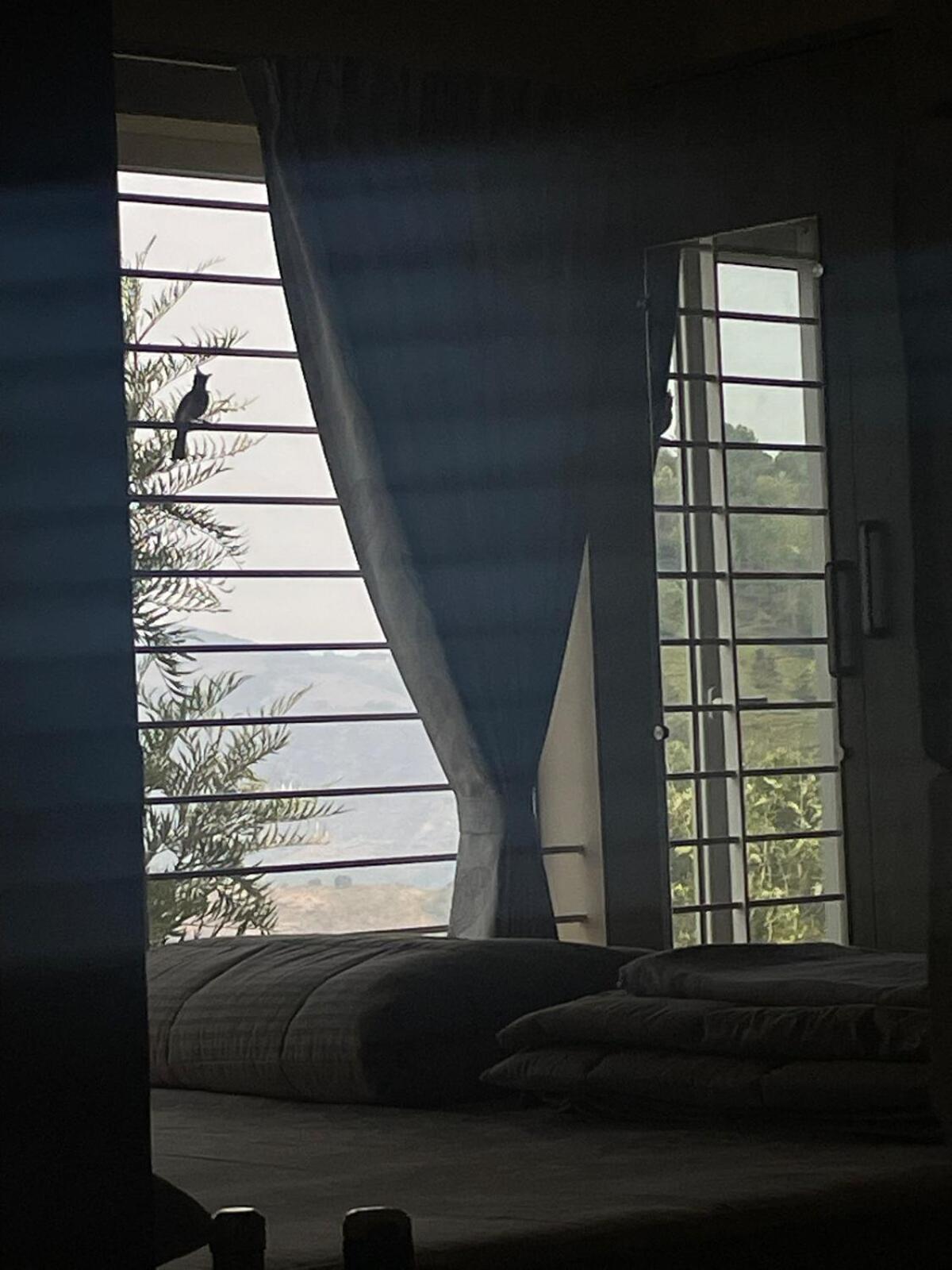 Vila Casa De Kcn Kotagiri Exteriér fotografie