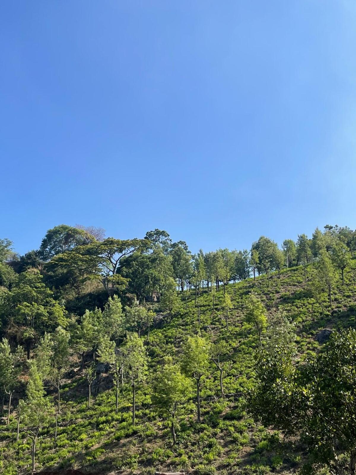 Vila Casa De Kcn Kotagiri Exteriér fotografie